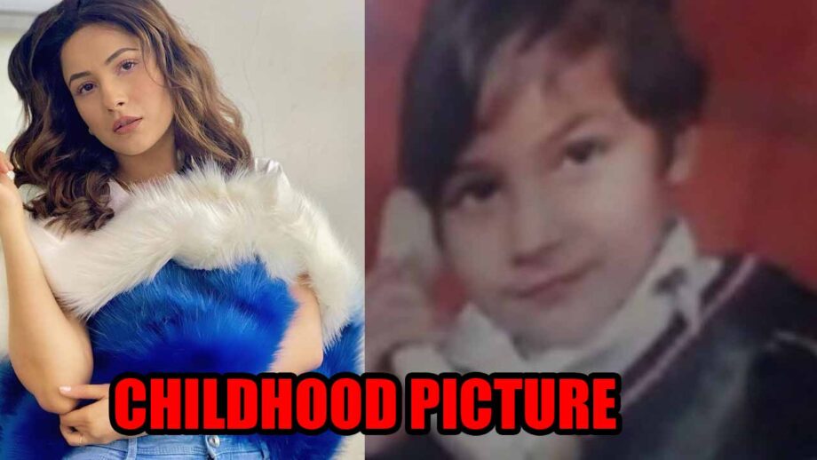 Shehnaaz Gill shares her adorable childhood picture, fans melt in awe 429882