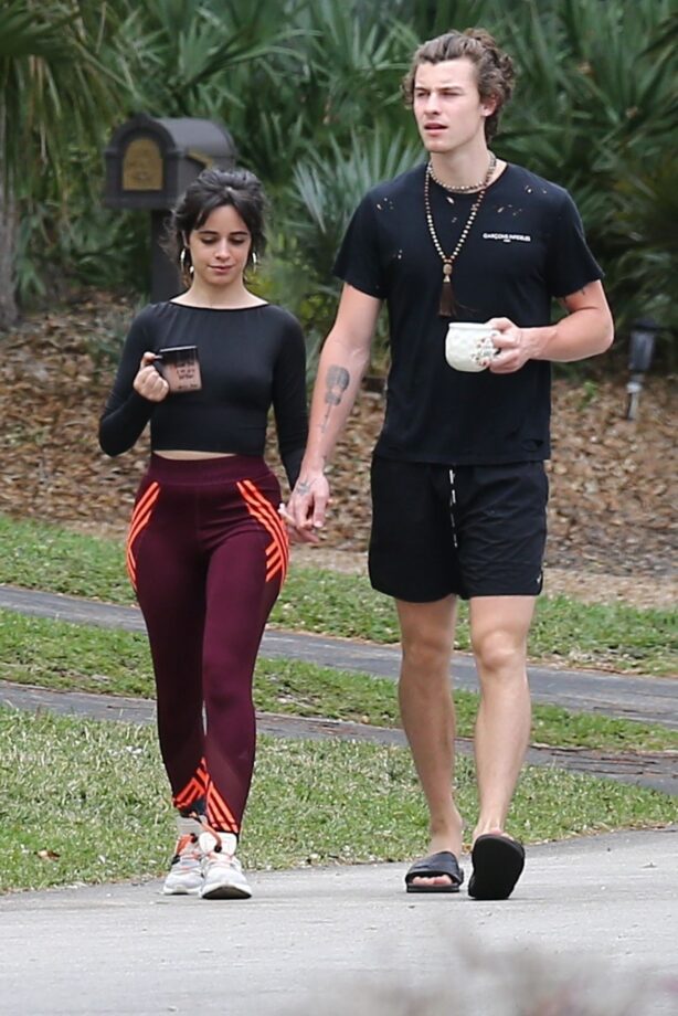 5 Tracks Camila Cabello And Shawn Mendes Wrote For Each Other - 1