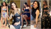 Solid Or Printed: Which Avatar Of Shraddha Arya Is Raising Mercury Levels?
