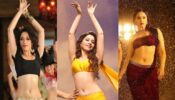 South Vs Bollywood: Which Industry Does Tamannaah Bhatia Find More Difficult To Work?