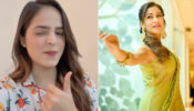 Taarak Bold Beauties: Palak Sindhwani & Sunayana Fozdar flaunt their oomph game with perfection, fans sweat