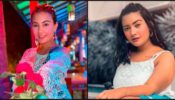 Take Grooming Cues For Your Daily Hairstyle From Aashika Bhatia
