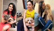Tamannaah Bhatia, Samantha Akkineni, Pooja Hegde: These popular South stars own a paw-friend!