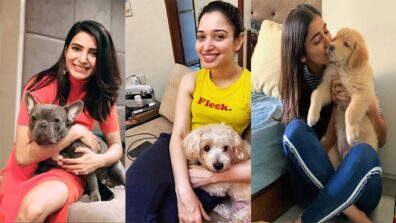 Tamannaah Bhatia, Samantha Akkineni, Pooja Hegde: These popular South stars own a paw-friend!