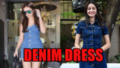 Tara Sutaria & Ananya Panday: How Much Do You Score For Their Dazzling Denim Dress?