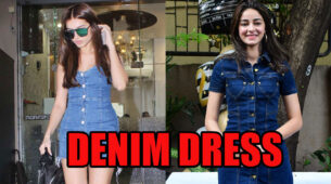 Tara Sutaria & Ananya Panday: How Much Do You Score For Their Dazzling Denim Dress?