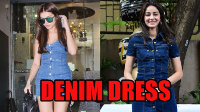 Tara Sutaria & Ananya Panday: How Much Do You Score For Their Dazzling Denim Dress?