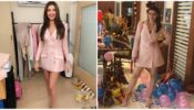 Tara Sutaria Vs Hansika Motwani: Who Slayed In A Pastel Pink Blazer Dress?