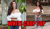 Tara Sutaria Vs Nora Fatehi: Which Diva Sizzles In High Waist & White Crop Top?