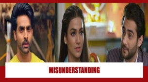 Teri Meri Ikk Jindri Spoiler Alert: Arjun creates misunderstanding between Jogi and Mahi