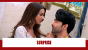Teri Meri Ikk Jindri Spoiler Alert: Jogi plans a surprise for Mahi
