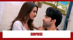 Teri Meri Ikk Jindri Spoiler Alert: Jogi plans a surprise for Mahi