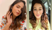 TMKOC Dangerous Beauties: Palak Sindhwani & Sunayana Fozdar burn the oomph game with swag, fans sweat