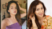 TMKOC: Palak Sindhwani & Sunayana Fozdar burn the oomph game, fans feel the heat