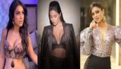 Ultimate TV Babes (Fan Battle) Nia Sharma Vs Shweta Tiwari Vs Hina Khan: Which Television Actress Has The Best Instagram Presence?