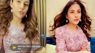 Watch Video: Shehnaaz Gill grooves to Selena Gomez’s ‘Love You Like A Love Song’