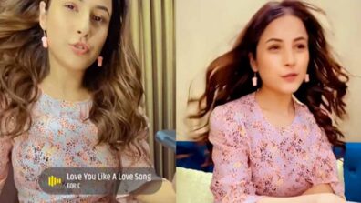 Watch Video: Shehnaaz Gill grooves to Selena Gomez’s ‘Love You Like A Love Song’