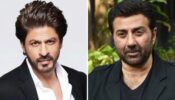 Why Did Shah Rukh Khan & Sunny Deol not speak to each other for 16 years? You won’t believe the real reason