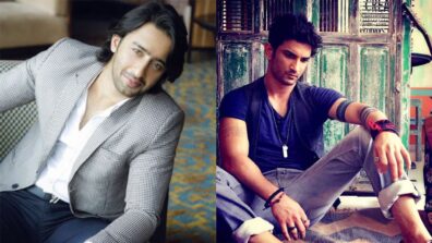 Why Shaheer Shaikh’s Casting In Place Of Late Actor Sushant Singh Rajput For Pavitra Rishta 2.0 Was A Big Challenge, Read Full Story