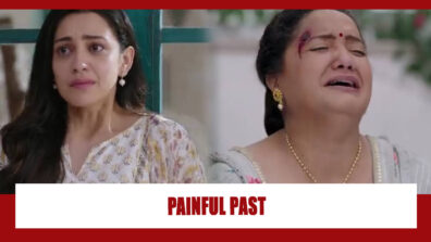 Zindagi Mere Ghar Aana Spoiler Alert: Amrita and Nimmo carry the grief of a painful past