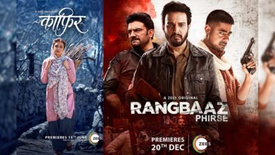 2 OTT Hard-hitters On Zee5 You May Have Missed