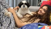 3 pictures that prove Keerthy Suresh is a paw-some mom to her puppy Nyke