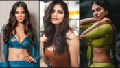 5 Photos That Make Malavika Mohanan The Hottest Actress of The South Industry