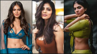 5 Photos That Make Malavika Mohanan The Hottest Actress of The South Industry