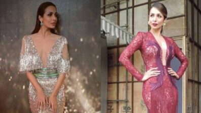 5 Times Malaika Arora Wore Expensive Dresses, Check Out The Prices That Will Shock You