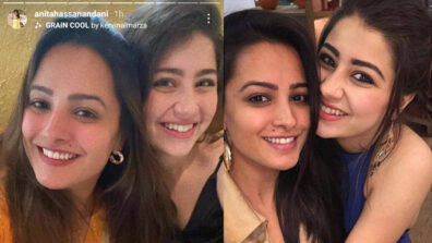 Anita Hassanandani & Aditi Bhatia pose together for a candid selfie, fans in love with their smile