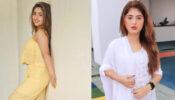 Ashnoor Kaur and Arishfa Khan are ravishing hot beauties, fans fall in love