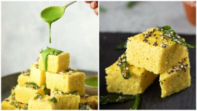 Know A Dhokala Lover? Try These Homemade Dhoklas. Recipe Here