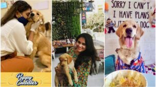 3 Top Dog Cafes You Should Visit If You Wish To Spend Paw-Some Time!