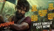 Big Achievement: Allu Arjun’s track ‘Jaago Jaago Bakre’ from film Pushpa sets a new milestone, know details inside