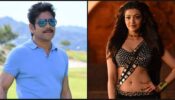 Big News: Nagarjuna and Kajal Aggarwal all set to work together in upcoming Telugu movie, read details