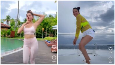 Bigg Boss divas Rubina Dilaik and Gauahar Khan do a sensuous hot twerk, videos go viral