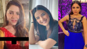 Bigg Boss Hotties Challenge: Rubina Dilaik Vs Jasmin Bhasin Vs Shehnaaz Gill: Which diva is your dream date? (Ultimate Fan Battle)