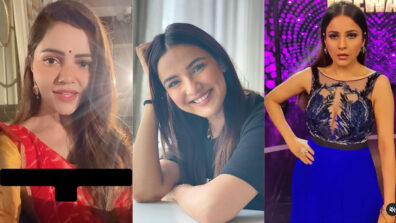 Bigg Boss Hotties Challenge: Rubina Dilaik Vs Jasmin Bhasin Vs Shehnaaz Gill: Which diva is your dream date? (Ultimate Fan Battle)