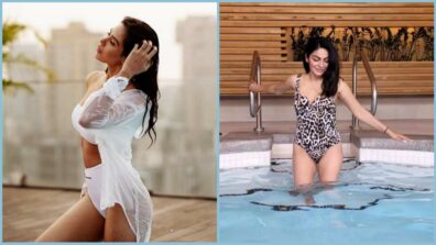 Bold & Beautiful Sonam Bajwa Vs Neeru Bajwa: Who Stabs Your Hearts?