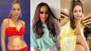 Burning Hot: Nia Sharma, Surbhi Jyoti and Hina Khan slay the oomph factor in sensuous high-chic outfits, fans feel the heat