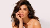 Businesswoman Of The Year: From Anomaly Haircare to Sona, Priyanka Chopra Jonas owns these businesses apart from her acting career