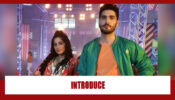 Choti Sarrdaarni Spoiler Alert: Seher to introduce Kunal to her brothers