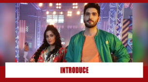 Choti Sarrdaarni Spoiler Alert: Seher to introduce Kunal to her brothers
