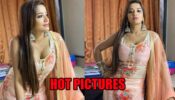 Desi Vibe: Monalisa shares hot pictures in salwar suit look, fans love it