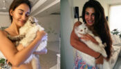 Disha Patani & Jacqueline Fernandez have a ‘meow’ connection and it will leave you in splits