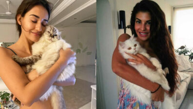 Disha Patani & Jacqueline Fernandez have a ‘meow’ connection and it will leave you in splits