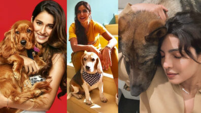 Disha Patani, Katrina Kaif, and Priyanka Chopra’s adorable pawsome moments to admire