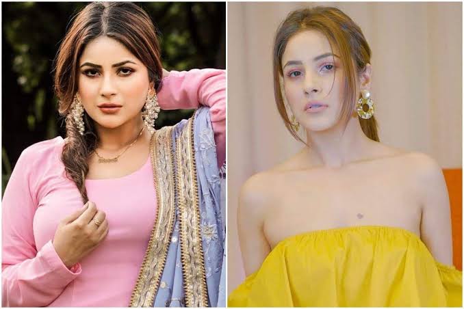 Shehnaaz Gill, Bharti Singh, And More: TV Celebs Who Stunned Netizens With Their Incredible Transformation - 2