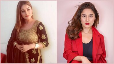 Ex – Bigg Boss Contestant Shehnaaz Gill’s Incredible Transformation Is Influential And Impactful, Here’s A Look At Her Before And After Pictures