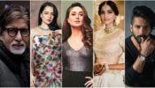 From Amitabh Bachchan To Shahid Kapoor: These Actors Turned Pure Vegetarian In Real Life